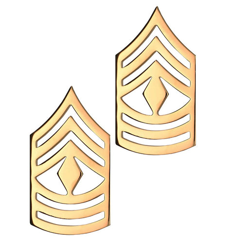 RANK S/B 1SGT E-8 - 2418