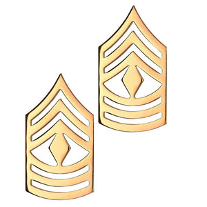 RANK S/B 1SGT E-8 - 2418