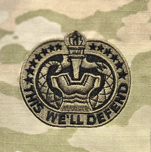 BADGE DRILL SGT OCP - 5930A