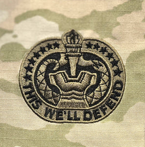 BADGE DRILL SGT OCP - 5930A