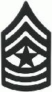 RANK BLK MTL SGT MAJ E-9 - 2837